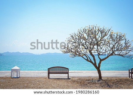 Empty wooden bench by summer beach in the park with beautiful sea, blue sky and Plumeria or Apocynaceae at Koh SiChang, Chonburi, Thailand. Royalty-Free Stock Photo #1980286160