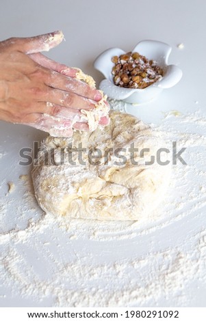 Kneading dough with flour and raisins on a white table close-up