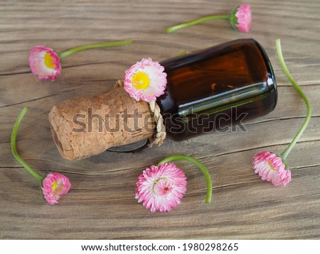 Tincture in a bottle and daisies with pink flowers on a wooden table, flat layout. Useful flowers bellis for use in alternative medicine, homeopathy and cosmetology