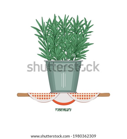 Rosemary. Condiments and herbs. Branches of green, fresh rosemary in a gray bucket on the kitchen shelf. There is a text. Design element. Vector illustration.