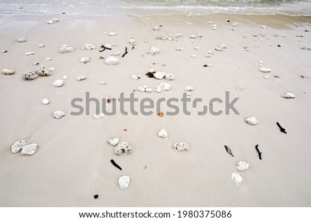 A picture of various size of broken white corals on white sand with waves at the top of the picture.