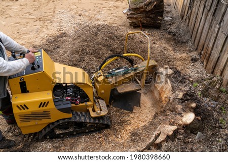 View from above on a yellow stump cutter equipped with tracks. In milling machines, the head grinds a large strain of chips. Next to the milling cutter, a large pile of weeds from the freshly chopper Royalty-Free Stock Photo #1980398660