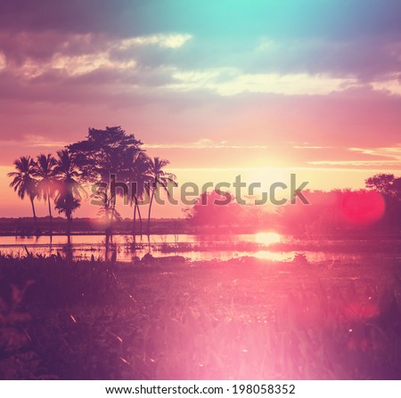 Flooded field Royalty-Free Stock Photo #198058352