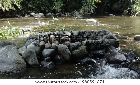 fish trap in the river made from piles of river stones