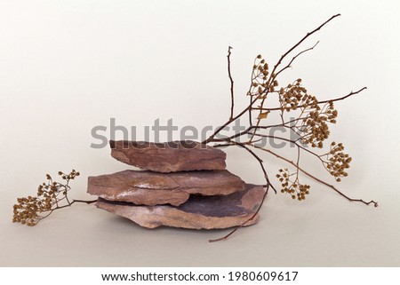 Red-brown stones in the form of podium for the presentation of objects or cosmetics and dry branches and inflorescences of spirea flowers on light beige background. Composition from natural materials