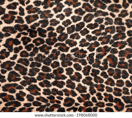 Leopard patterned background