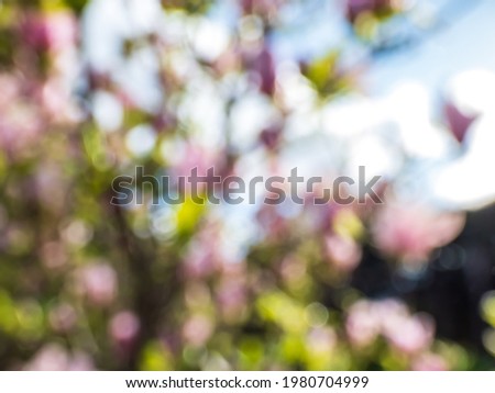 Pink, green, blue and white bokeh effect and purposely blurred view of blooming orchard. Blurry nature and flower colored background with photographic bokeh effect
