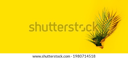 tropical green palm leaf in a hole in cardboard ripped yellow background. Banner. 