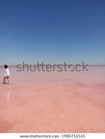 Pink Rose salt lake like a picture from another world under unforgettable blue sky