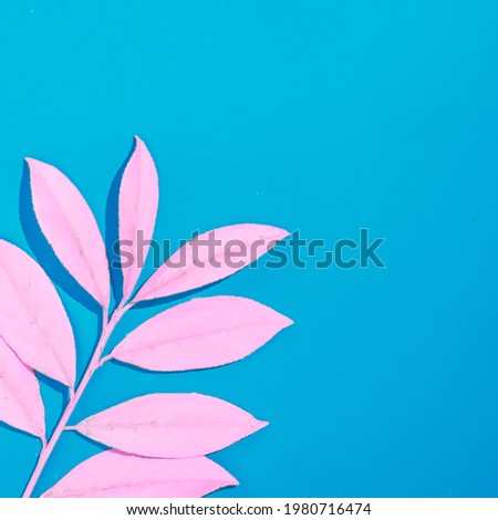 Trendy color summer tropical concept with pink leaves on bright blue background. Minimal flat lay composition with copy space. Surreal futuristic color aesthetic.