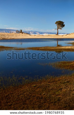 Beautiful landscape. A small lake in the middle of a sandy beach. In the background, a pine tree, the shore of Lake Baikal, mountains.