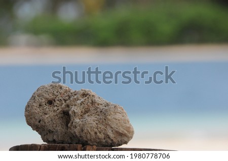 Lombok, Indonesia - November 24, 2018; A chunk of rock on a piece of wood on one of the beaches on the Indonesian island of Lombok.