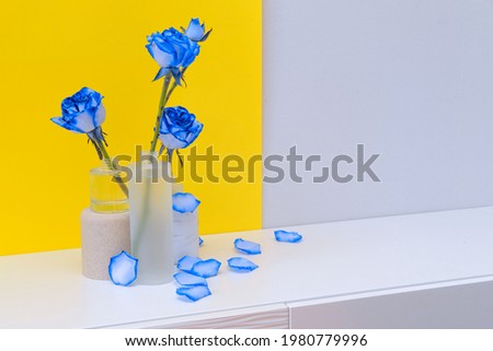 Blue roses flowers in glass vases on yellow background. Rose with blue pigmentation, genus Rosa of family Rosaceae. Development of new type flowers, flower shop, greeting card, advertising template