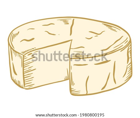 Round head of hard cheese, vector. Dairy product, production and sale. Hand drawing. Colored yellow piece of cheese.