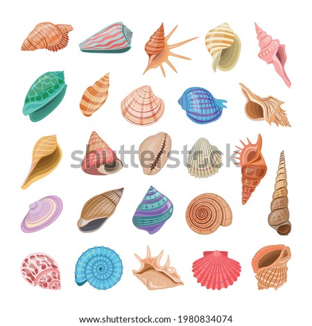 Collection of colorful realistic seashells. Royalty-Free Stock Photo #1980834074