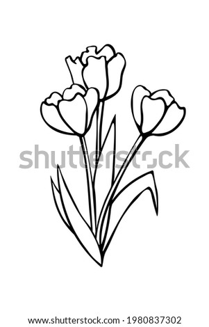 Bouquet of three contour flowers of tulips. Vector hand drawn design element. Simple black outline doodle. Symbol of spring, love, flowering. For greeting card, holidays, coloring pages