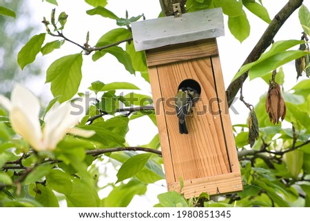 Great tit nursing a chick in a birdhouse on a tree