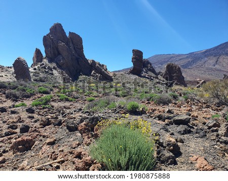 Beautiful nature on Canary Island, Roques de Garcia in Teide National Park, Tenerife in spring