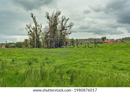 A grove of trees and houses in a sloping green meadow under a gray cloudy sky.
