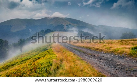 Landscape photography. Captivating summer scene of Krasna range with old country road. Mountain hills after the rain. Astonishing morning view of foggy Carpathian mountains, Ukraine, Europe. 