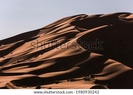 Pictures from the desert Empty Quarter, Dhofar Governorate