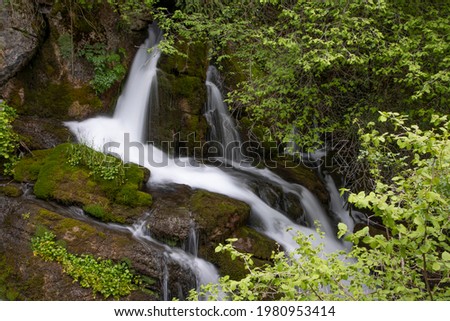 Water cascading through the leafy forest. With rocks full of green moss. Colour and horizontal image in Castellar de n'Hug. Travel concept.