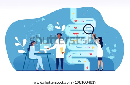Male and female doctors are studying gut microflora together. Concept of digestive stomach living organisms and gastrointestinal microbe living in gut. Flat cartoon vector illustration Royalty-Free Stock Photo #1981034819