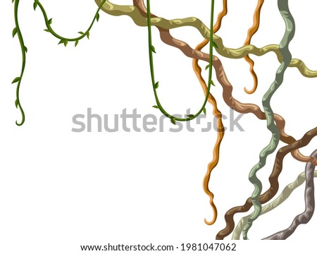 Stems hedera helix, ivy, liana, grapes, vine. Branches tropical creeper. Jungle plants. Isolated game cartoon vector frame on white background.  Royalty-Free Stock Photo #1981047062