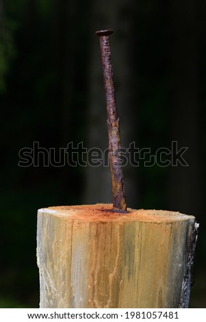 Close up of a rusty old iron nail stuck in a wooden post