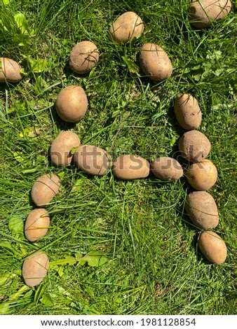 Letter A made from natural yellow beautiful ripe tasty healthy starchy potatoes fresh in the ground on green grass. The background.