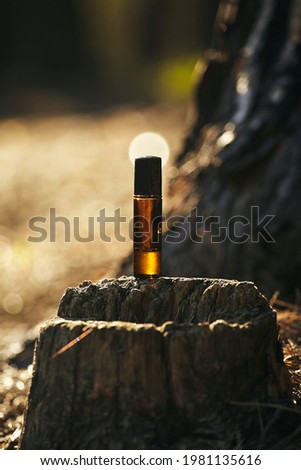 Roll-on perfume in a brown glass jar on a tree stump. Glass bottle in the sunset light in nature. Advertising photo of perfume. Mockup