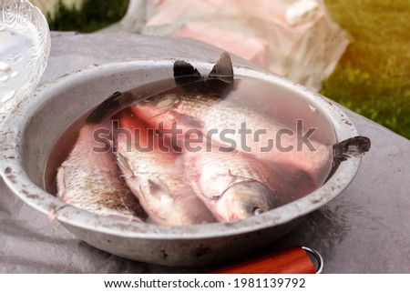 Peeled fresh river fish in a plate outdoors outdoors. High quality photo
