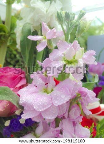 Stock Photo - Close up of a flower bouquet