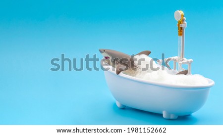 Practical joke, underwater scare and surprise attack concept with humorous image of a shark in a bathtub surrounded by soap suds isolated on blue background with copy space