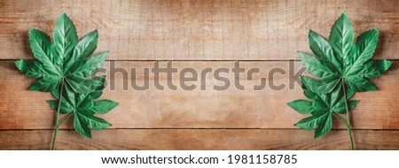 Natural wood texture. Old wood background or rustic wood background. Grunge wood texture. Leaves. Green leaves on a wooden background.copy space