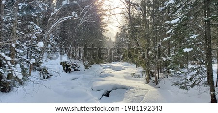 Winter Wonderland Hike in Quebec, Canada