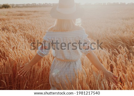 Amazing view with woman his back to viewer in a field of wheat touched by hand of spikes in the sunset light. Golden wheat fields. Wheat ears in hands. Harvest concept. Image of spikelets in hands.