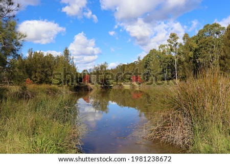 Surveyors Creek lake on a sunny blue sky day with beautiful autumn trees and reflections off the water.