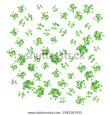 Green clover on white background isolated