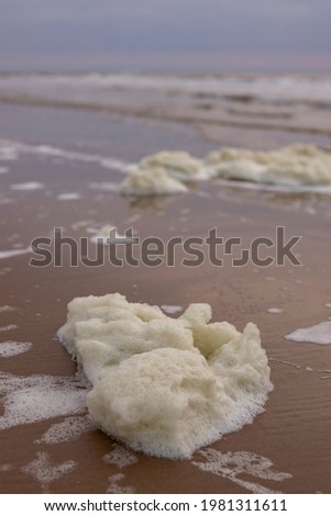 Closeup of thick washed up sea foam stranded on the Dutch North sea beach during sunset on overcast day