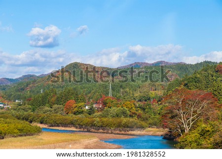 Autumn forest scenery with rural road in Miyagi prefecture, Tohoku, Japan. Royalty-Free Stock Photo #1981328552