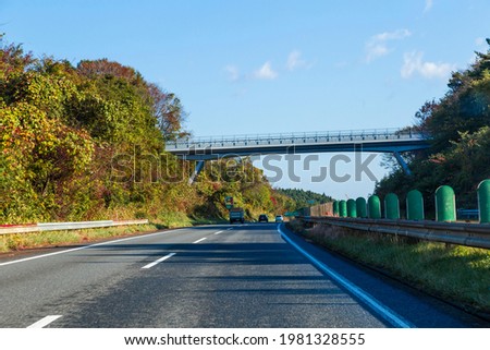 Autumn forest scenery with rural road in Miyagi prefecture, Tohoku, Japan. Royalty-Free Stock Photo #1981328555