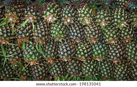 Close Up of the Pineapples.