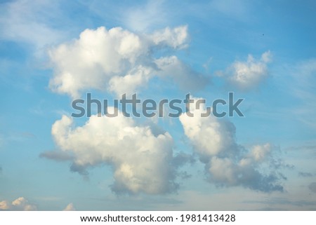 Vibrant soft blue sky with a couple of    fluffy cumulus clouds floating lit by sunset light nicely in the middle of the frame Royalty-Free Stock Photo #1981413428