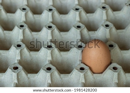 One egg Placed in the centre of the egg panel , close up