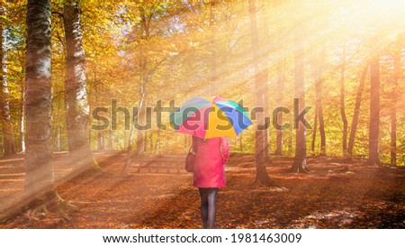 Woman with colorfull umbrella walking colorfull leaves - Autumn landscape in Yedigoller Park - Bolu, Turkey