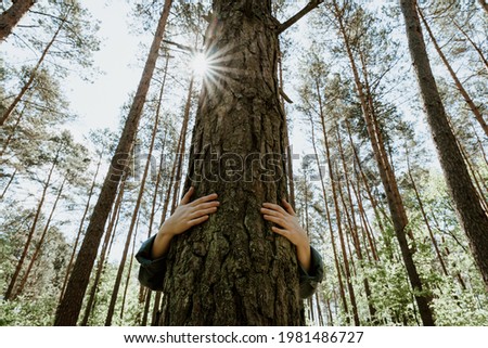 Person hugging a tree in forest, embracing tree trunk with both hands. Giving hug to old tree as a symbol for love for nature, sustainable development and environment protection Royalty-Free Stock Photo #1981486727