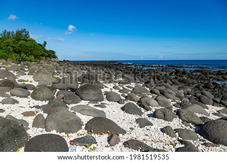 Rocky beach of Albion, in the west of the island of Mauritius.