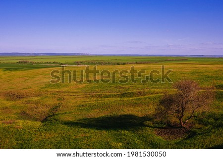 Grassy field and hills. Rural landscapes. Shot from above. Beautiful top view of sown fields. 