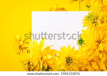 Blank greeting card in a frame of yellow flowers. Trendy minimalism. Invitation, place for text.